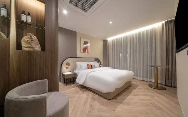 Hound Hotel Turtle