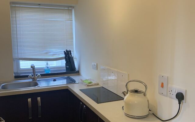 Beautiful Fir Grove Apartment Begelly