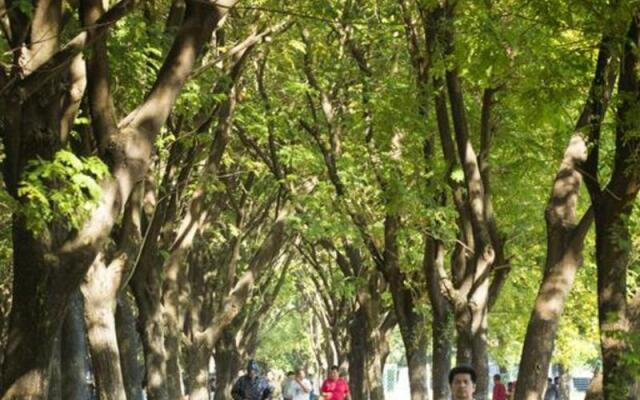 Amaris Hertasning - Makassar