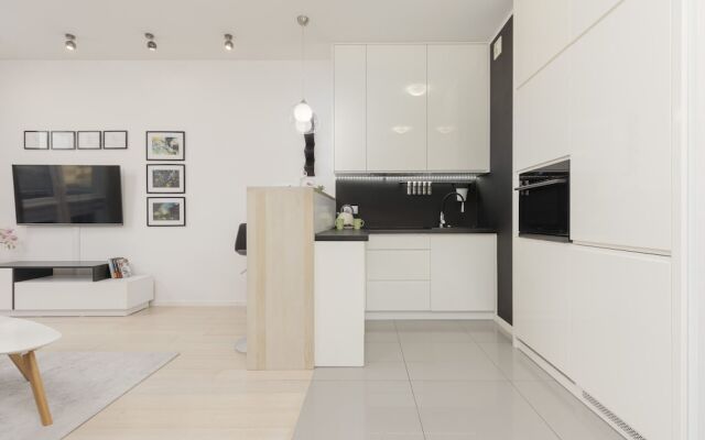 Subtle Colors Apartment by Renters