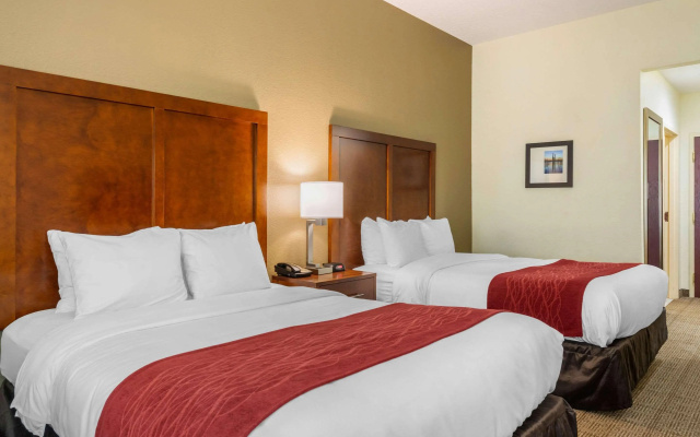 Comfort Inn & Suites Northeast - Gateway