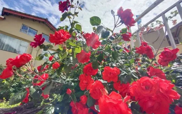 Huajianji Courtyard Home stay