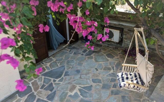 2AG252-House with a pool in Andros