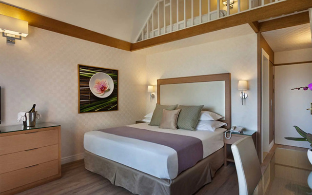 Orchid Eilat
