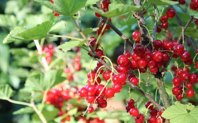Serene Apartment in Roggow with garden seating