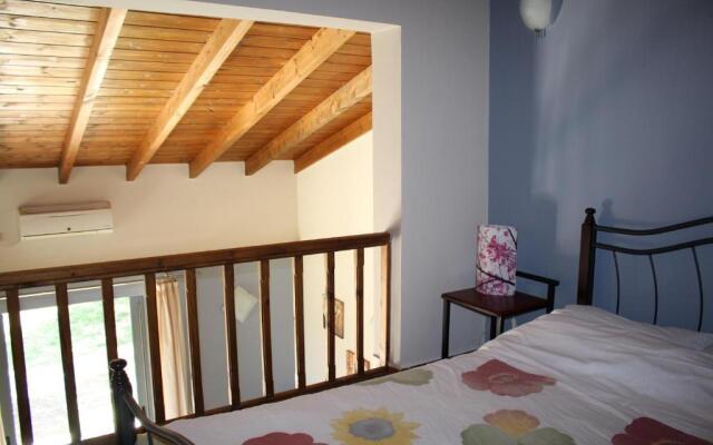 Vassia 3