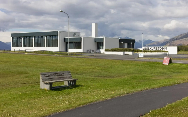 Milk factory