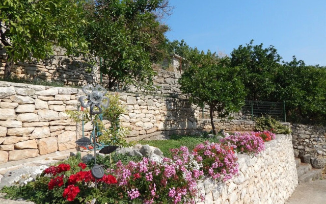 Apartments Neppa