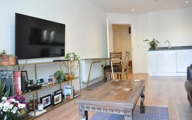 Fantastic Modern 1 Bed in Brixton