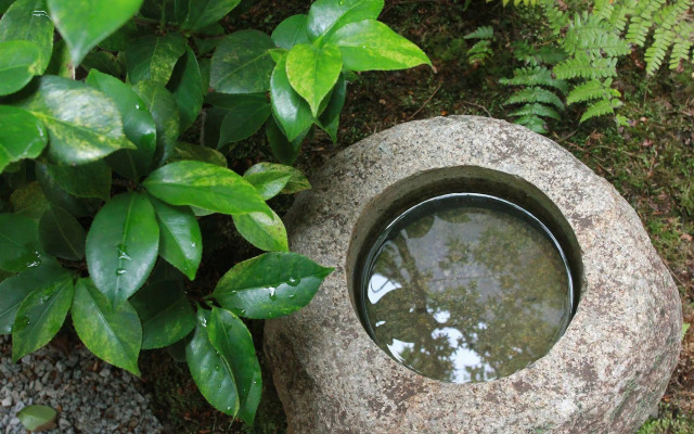 Seiji-an Machiya Residence Inn