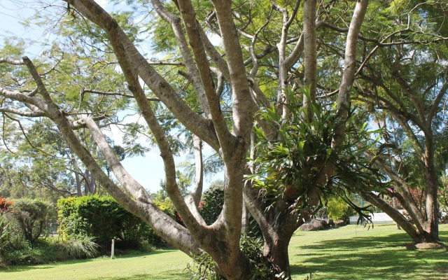 Buderim Fiesta Motel