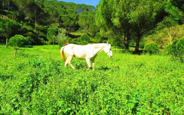 House With one Bedroom in Porto de Mós, With Wonderful Mountain View,