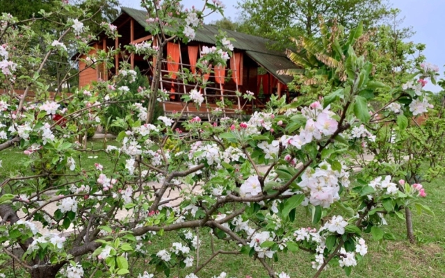 Mandarin Pension