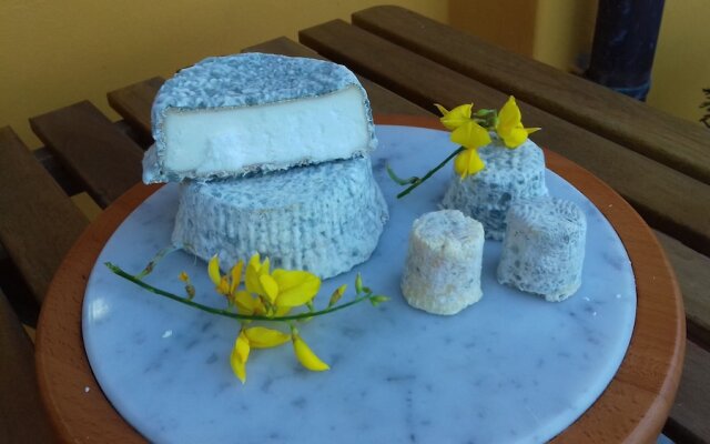 Hillock Of Goats Vacation Home On The Farm