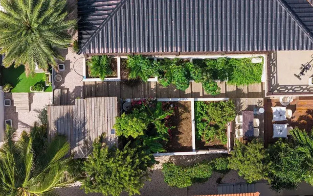 Mi Cuna Stays Collection