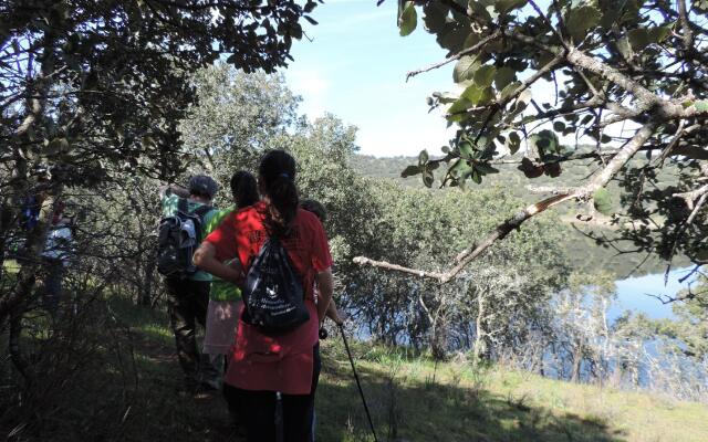 Apartamentos Barbancho