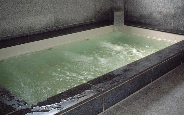 Tokiwa Ryokan