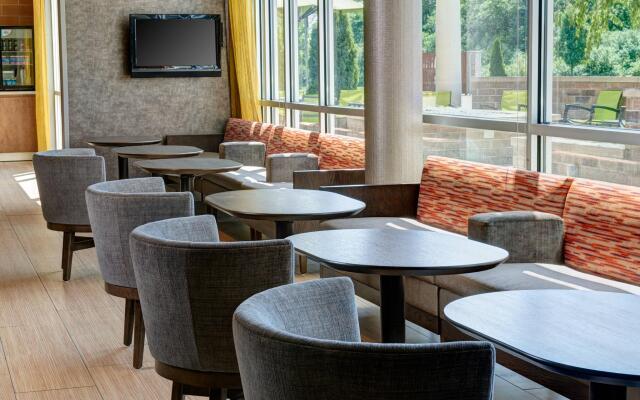 SpringHill Suites by Marriott Saginaw