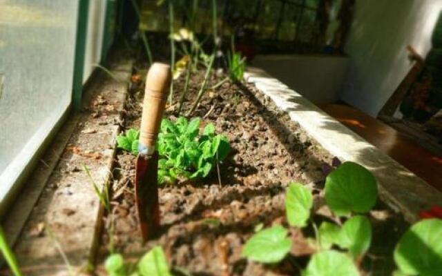 La Casona De Odile Hostel