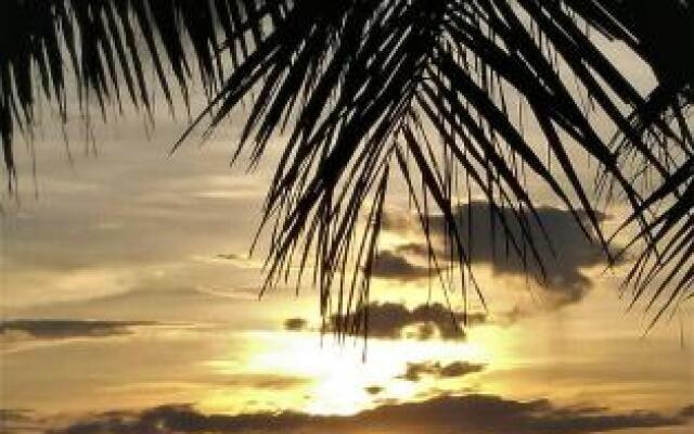 Tropical Heavens Garden Samui