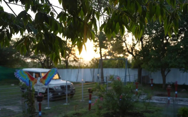 Wild Tusker Masinagudi by LexStays