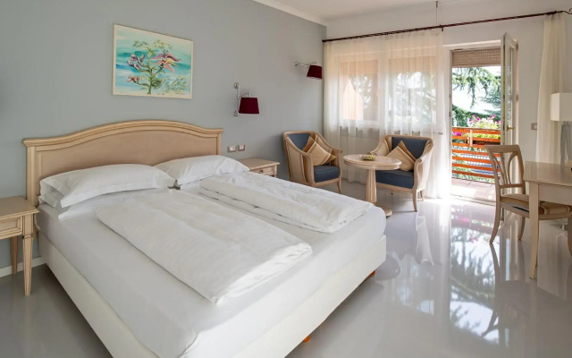 Hotel Aster