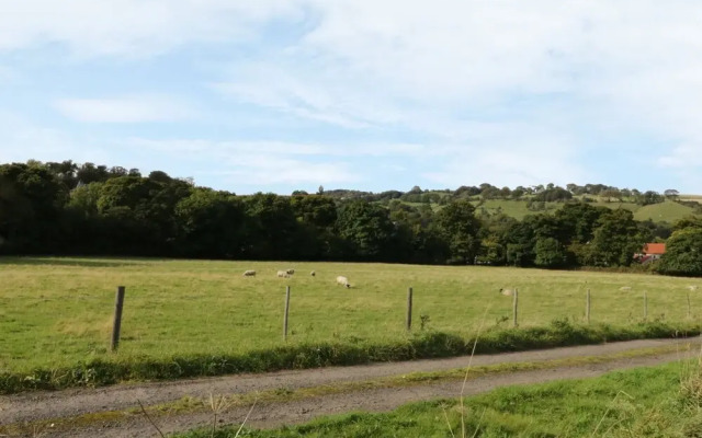 Lowdale Barns West