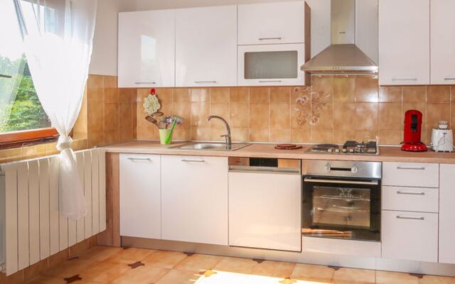 Mirjana (LBN312) 40625