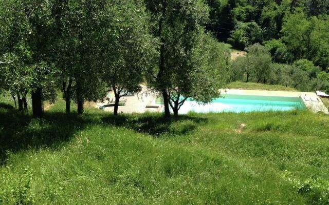 Modern Poolside Home in Pescia