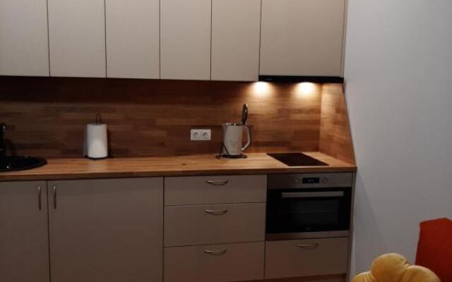 Vėžių g 26 K5-11 buto nuoma