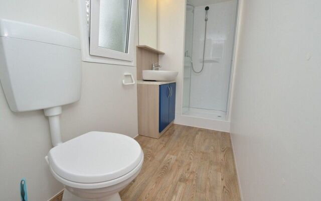 Iva - Great Garden - H