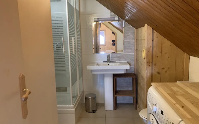 Modern Alpine Apartment