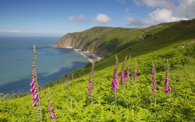 Exmoor White Horse Inn