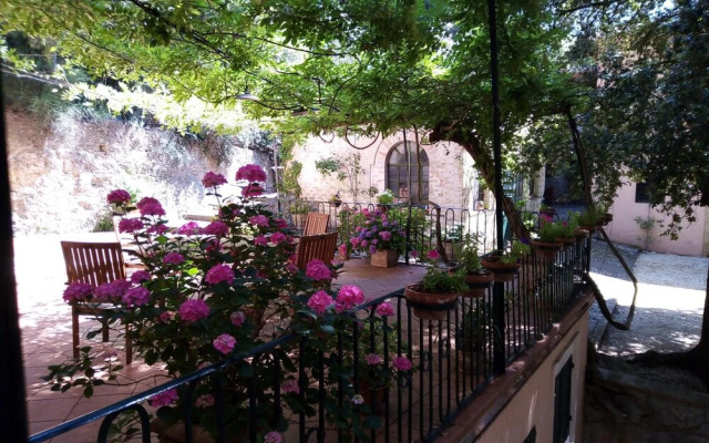 Agriturismo L'Ulivo