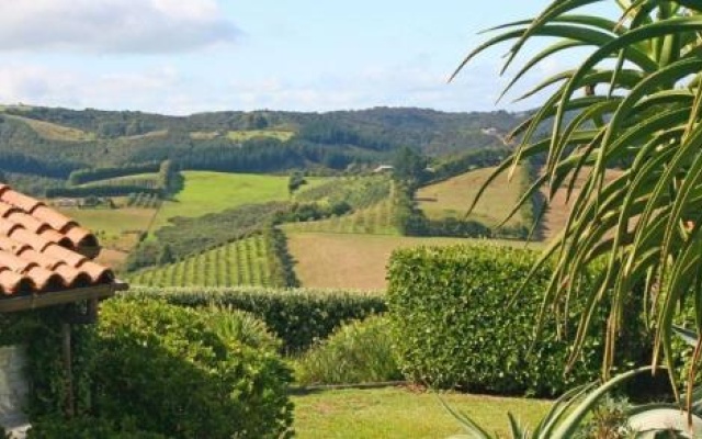 The Vineyard Cottage – Outside – Onetangi