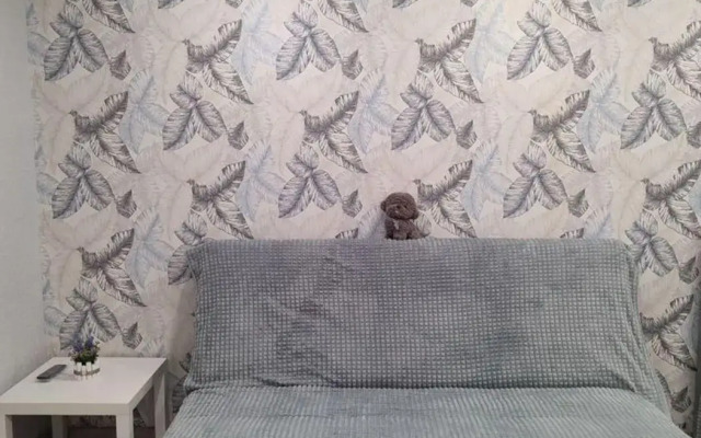 Апартаменты на улице Мусина 78