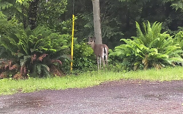 The Perch at Moon Dance