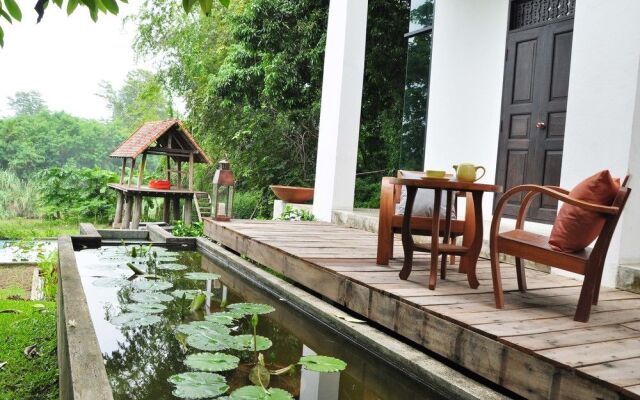 Baan88 chiangmai - บ้าน๘๘ เชียงใหม่