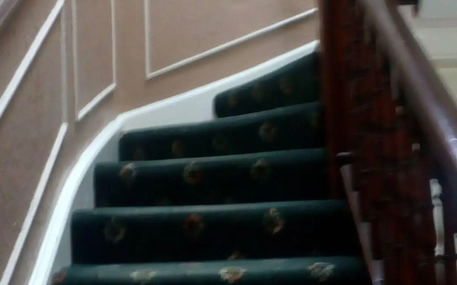 Aynetree Guest House