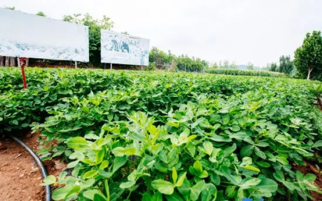 Qufu Shenghushanzhuang (Nishan Shengjing Luxuancun Scenic Area Store)