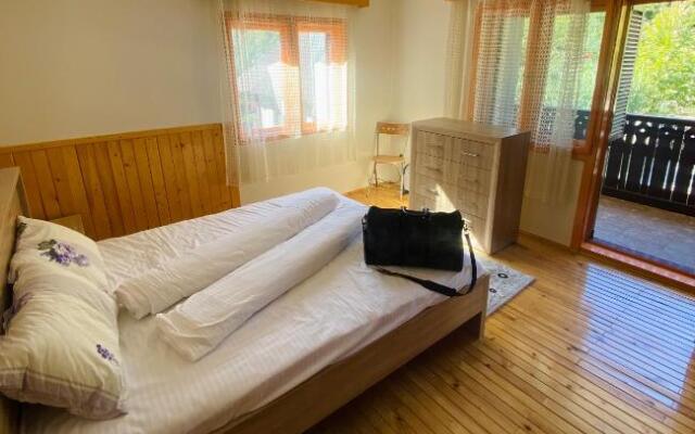 Casa de Vacanta Diana Moneasa