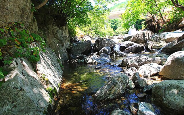 Gapyeong Heights 500 Pension & Campground