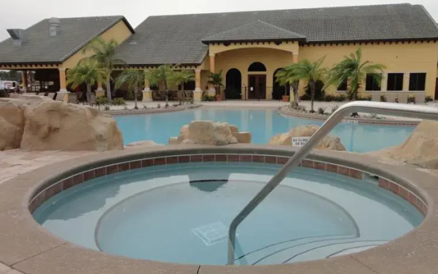 Paradise Palms