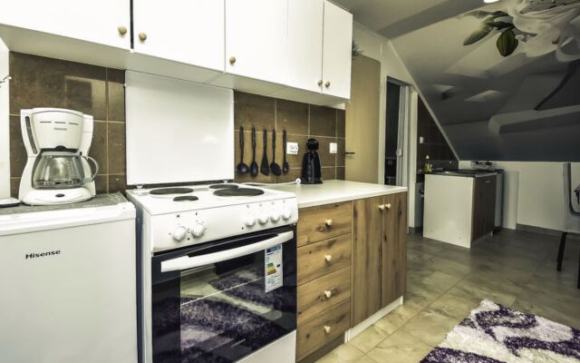 Apartment Amadea Novigrad (Zadar) 42532