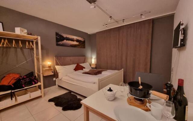Ski-in cosy studio