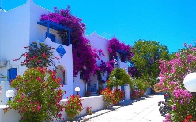 Pelagos Studios