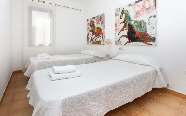 Anahi Home Dracaena 4