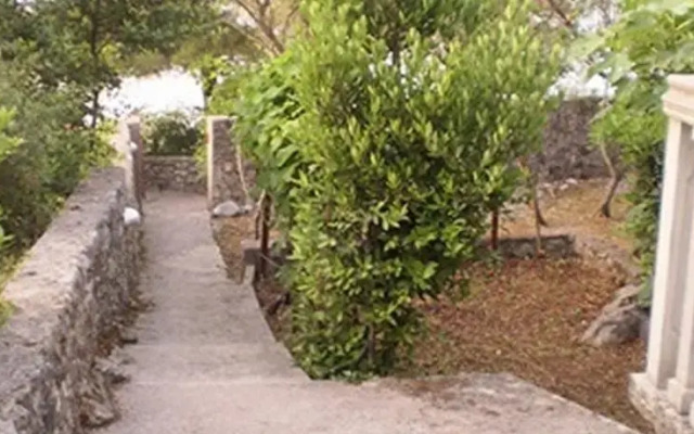 Krasici Green House