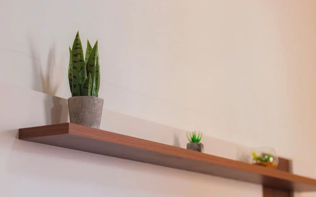 SUH Flamengo 08 Live in Aterro