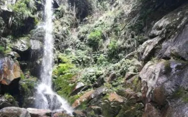Divine land